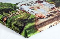 JM Mediatex Botticelli Cotton Canvas