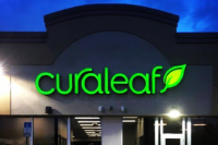 Oracal 8500 Translucent Cal serie 1260mm